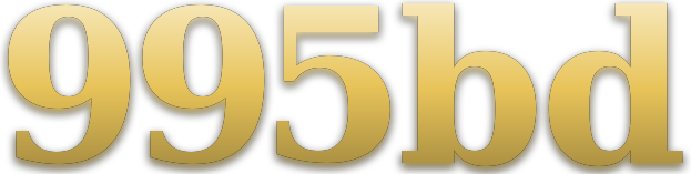 995bd logo
